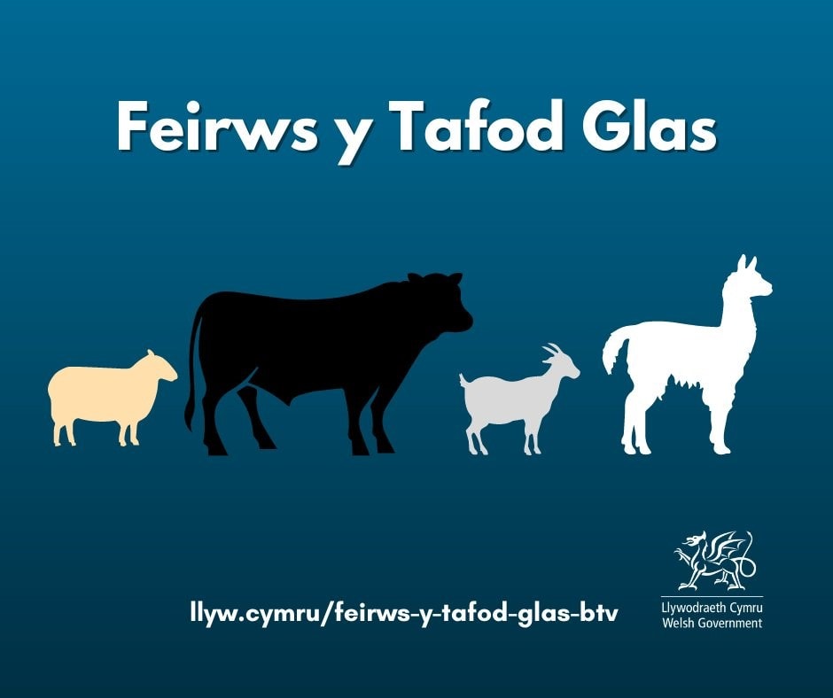 Tafod Glas