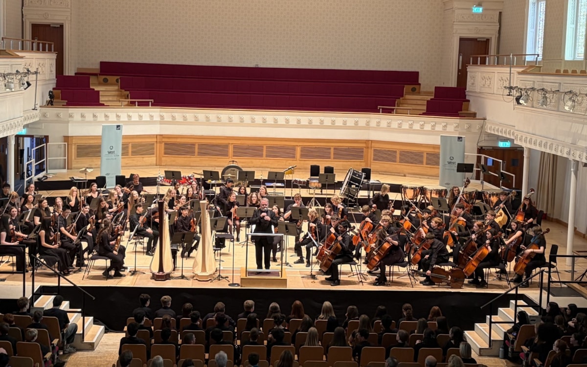 WSSO String Orchestra