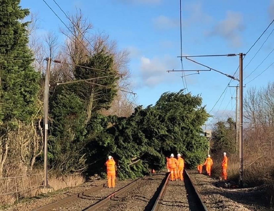 Anglia’s rail companies urge customers to re-plan journeys as storms threaten major disruption: Tree blocking track