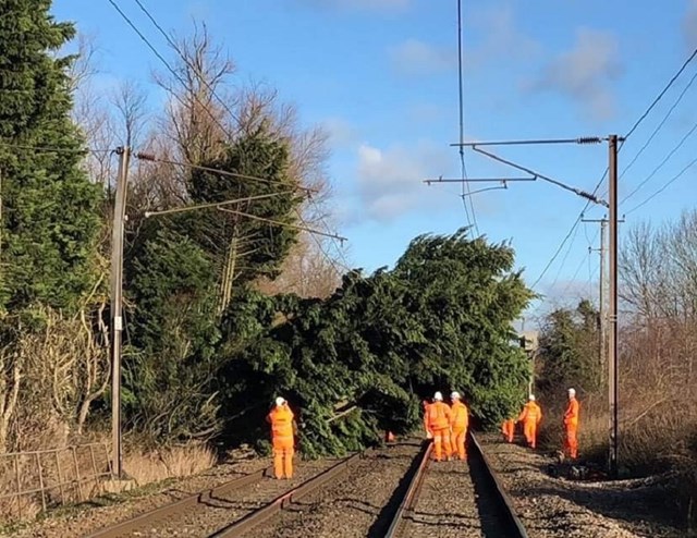 Anglia’s rail companies urge customers to re-plan journeys as storms threaten major disruption: Tree blocking track