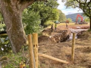South West Water backwater and cattle fencing-2: South West Water backwater and cattle fencing-2