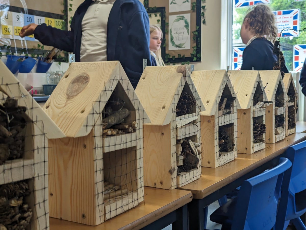 Alanbrooke school pupils make bug hotels with TPE (3)