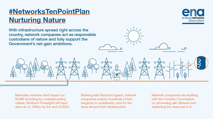 A0369 ENA Nature Infographic