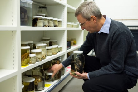 Curator Andrew Kitchener with specimens at the National Museums Collection Centre. Photo © Duncan McGlynn (3)