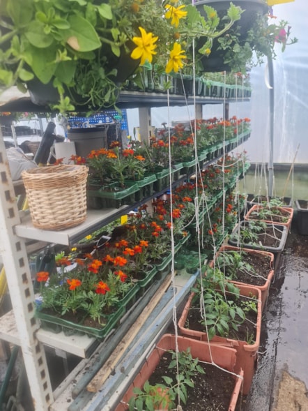 Netherthird community garden
