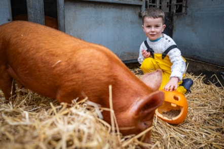 Arlo Cook (age 5) at the National Museum of Rural Life. Photo © Andy Catlin 4