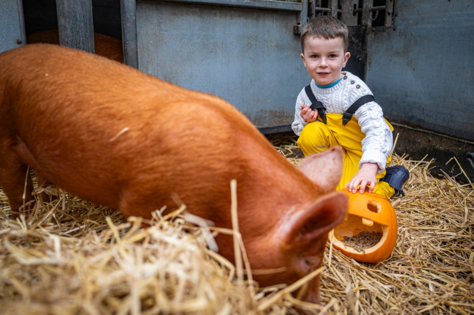Arlo Cook (age 5) at the National Museum of Rural Life. Photo © Andy Catlin 4