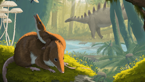 Krusatodon kirtlingtonensis, Jurassic mammals