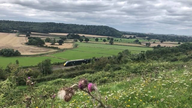 Network Rail celebrates World Habitat Day with biodiversity bonanza for rare butterfly: Green Down nature reserve with GWR train on the Castle Cary line