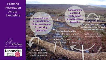 Infographic peatland restoration LCC