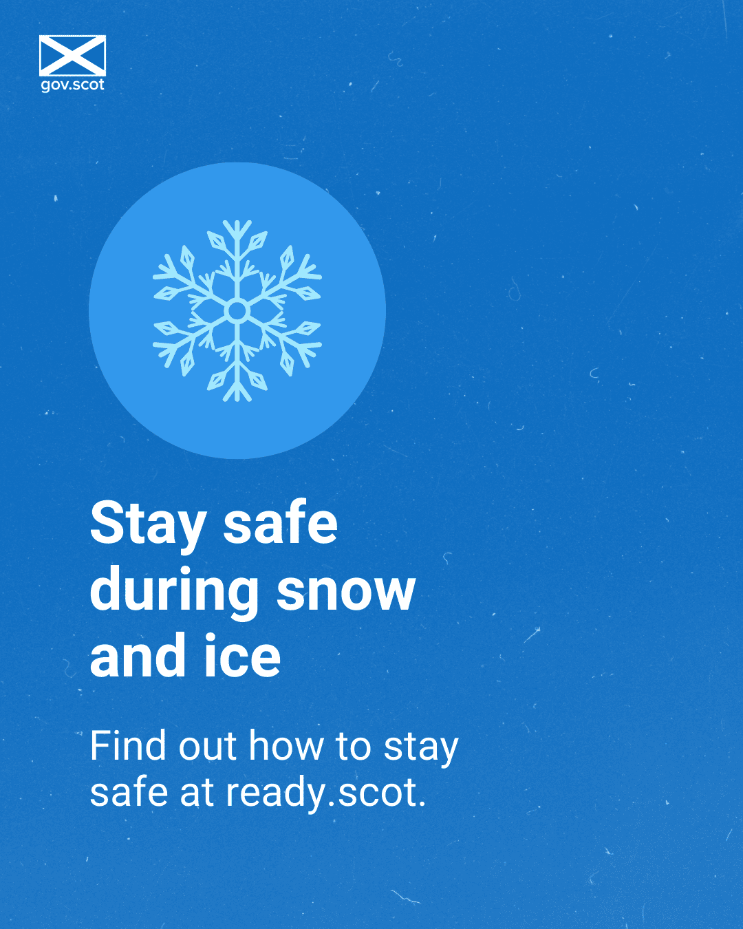 Snowflake - Portrait - Winter - SG Resilience - November 2025