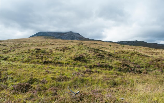 1 Beinn Eighe (2013) ©N. Benvie/NatureScot