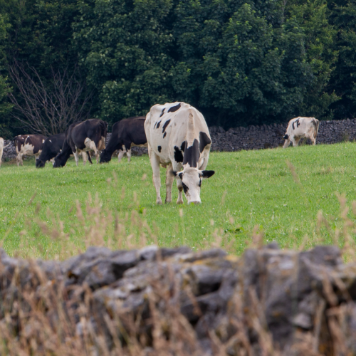 Generic farm images