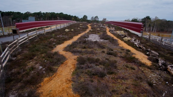 The UK's first ever heathland bridge-3