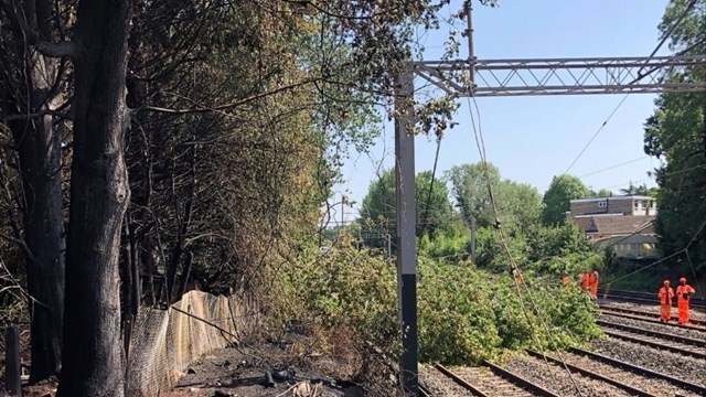 Tree blocking the West Coast main line after fire in HArrow