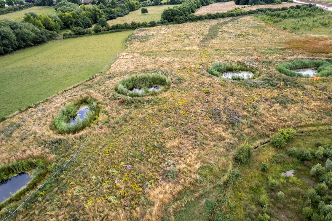 River Thame mitigation site near Aylesbury, with 14 ponds, meadow flowers and trees