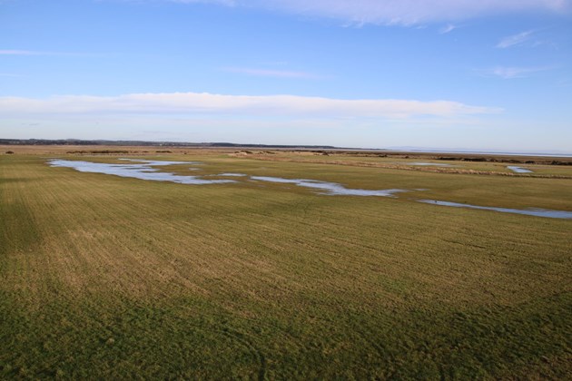 Goose pastures before wetland work - image credit Wildfowl and Wetlands Trust