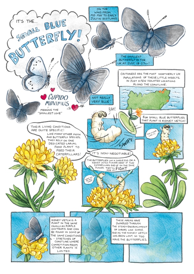 Comic book sample - small blue