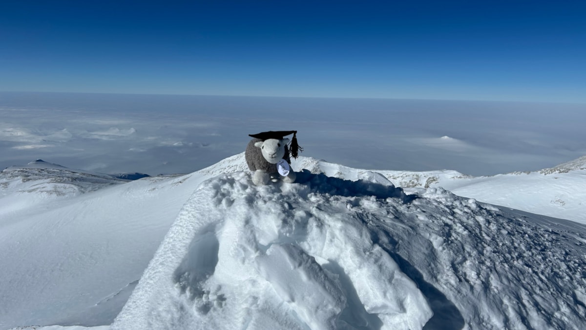 Bin Sun Herdy Antarctica South Pole-2 cropped