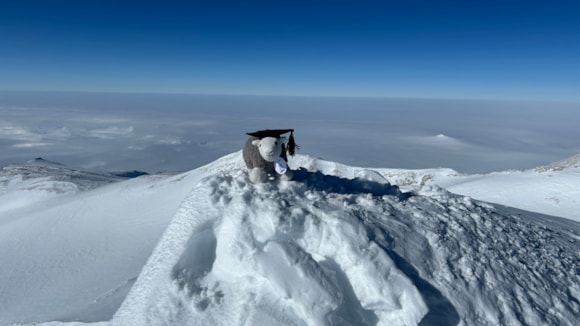 Bin Sun Herdy Antarctica South Pole-2 cropped