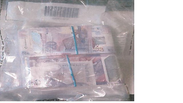 Some of the cash found in Feerick's lorry