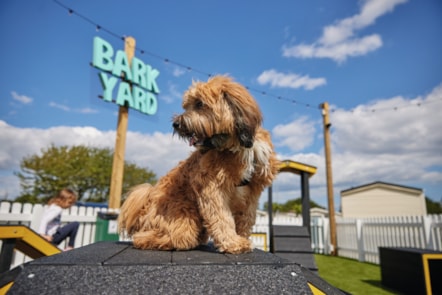 Bark Yard, Skegness