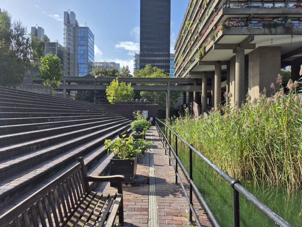 Seeds in the City Design Competition