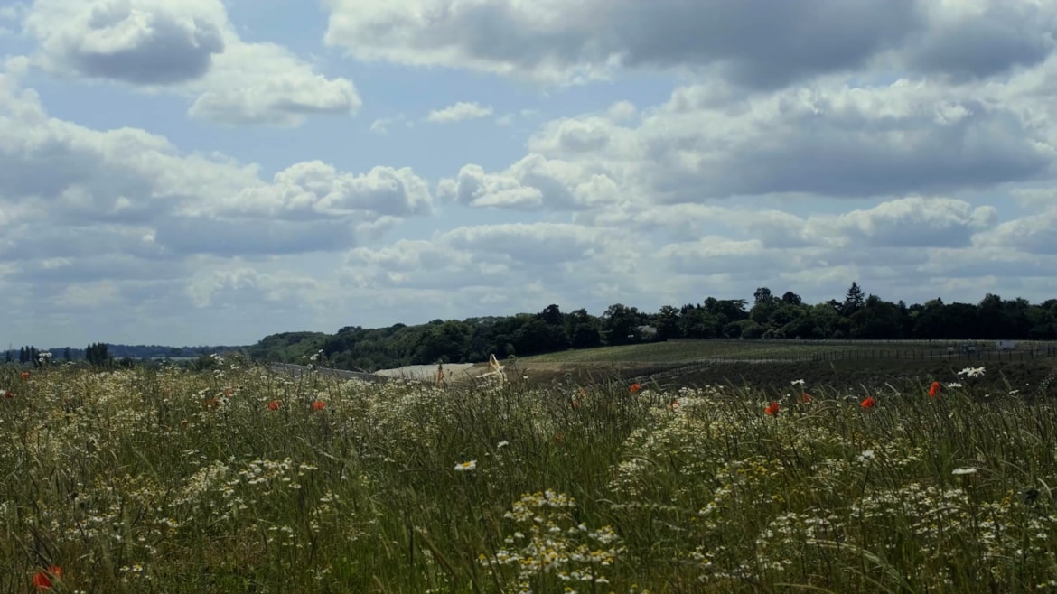 Wildlife begins to flourish at HS2’s largest habitat creation site: CWS 1