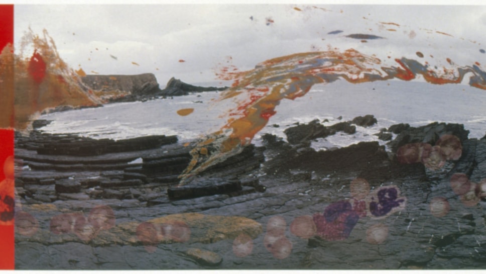 HC VL No3 © Estate of Helen Chadwick. Courtesy Richard Saltoun Gallery-2