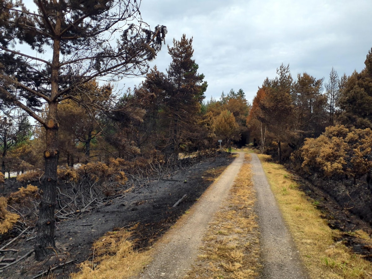 Taken by Moray Council's Countryside Ranger, the photo shows a stretch of the Dava Way following devastating wildfires in June 2025.