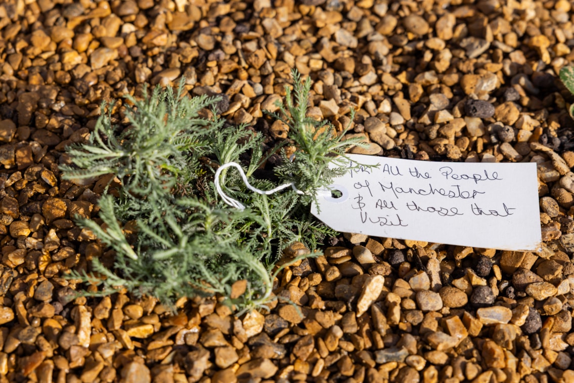 Manchester Piccadilly station sanctuary-6