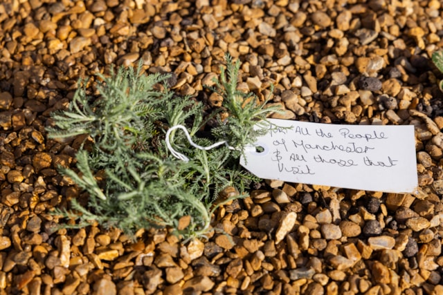 Manchester Piccadilly station sanctuary-6: Manchester Piccadilly station sanctuary-6