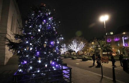 christmaslightsimage.jpg