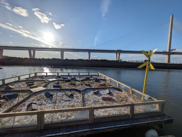 SMEEF - RSPB - Port Edgar Tern Raft- Completed repaired raft with bridge in background - March 24 - Free use photo