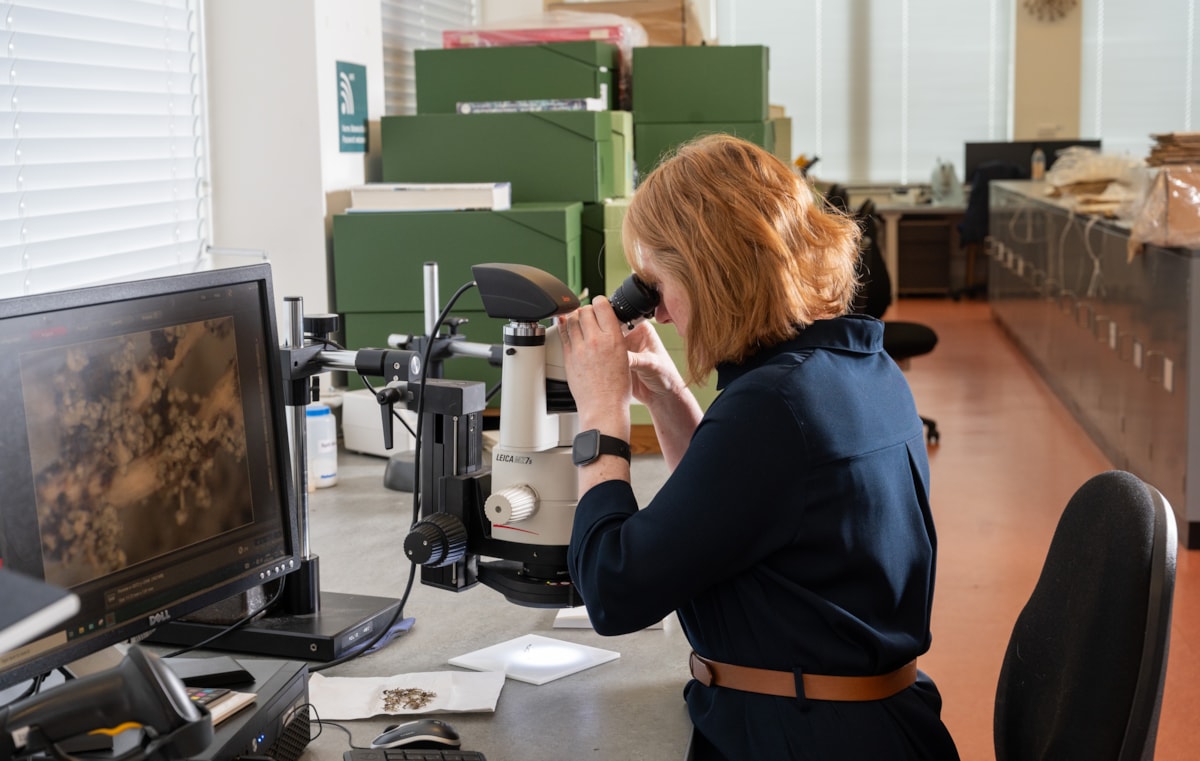 Professor Olwen Grace views a lichen sample from Royal Botanic Garden Edinburgh's collection as part of the DiSSCo UK project. Image copyright Julie Howden
