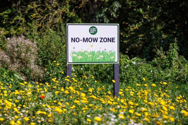 The Cotswold Range biodiversity