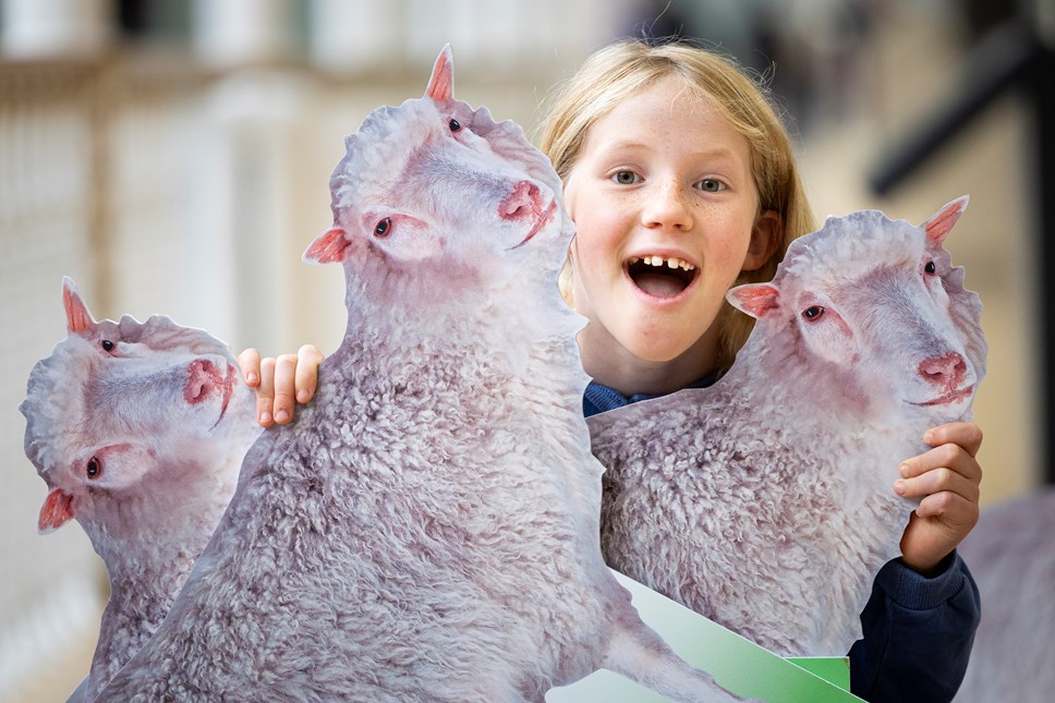 Edinburgh school pupil Connie Blacklaw (8), checks out a Dolly the Sheep-themed trail at the National Museum of Scotland, part of the programme for Maths Week Scotland, which starts today (Monday 25 September)-6 credit Duncan McGlynn