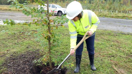 Leader of the county council Phillippa Williamson plants a tree at the Samlesbury Enterprise Zone.