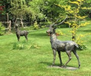 stag statues: stag statues