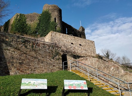 Haverfordwest Castle - burgage gardens