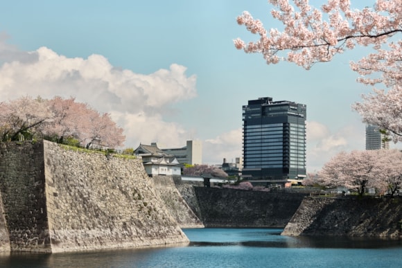 9ecd7174ab7a47f087362a42af3d35ba?width=580&height=580