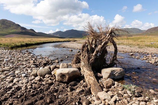 Nature Restoration Fund - Spey Catchment Initiative - Large Woody Structure Installation - credit ScotlandBigPicture.com