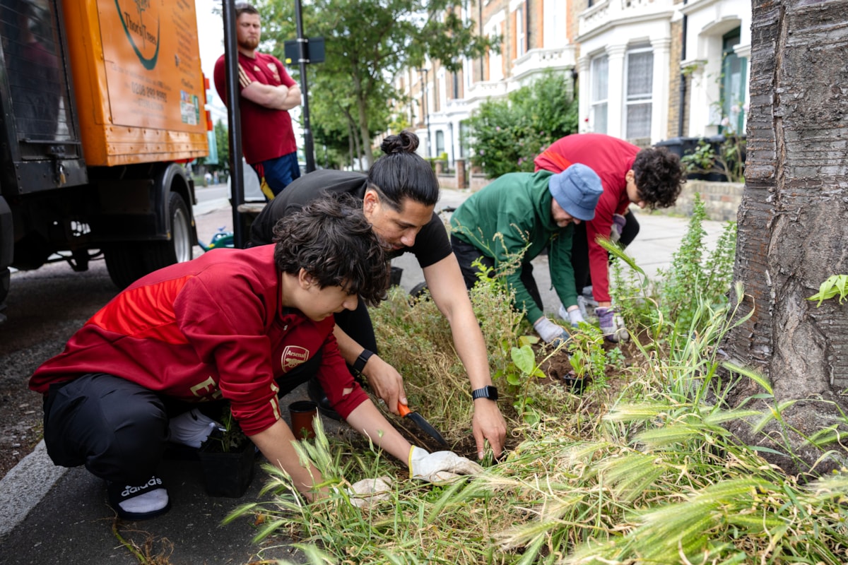 Arsenal Tree pit planting