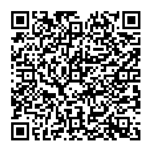 Polling District and Polling Place Review 2024 qrcode