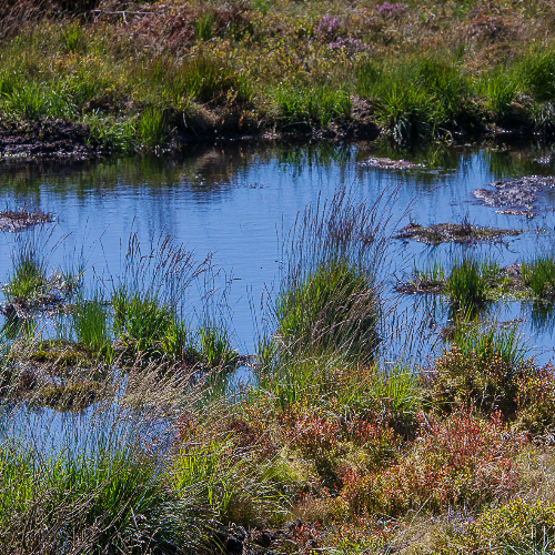 Peatlands - drought widlfire flood NRW bogs water security