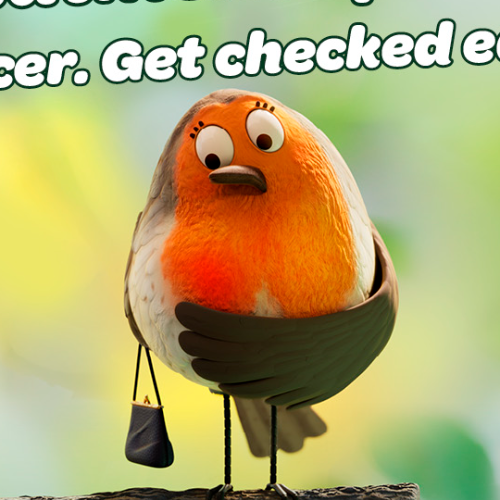 Leaflet Translations - Print Ready