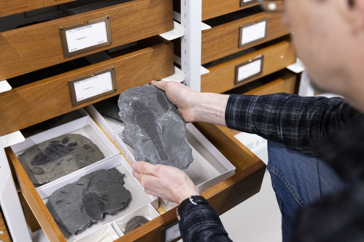 Natural Sciences at the National Museums Collection Centre © Duncan McGlynn-27