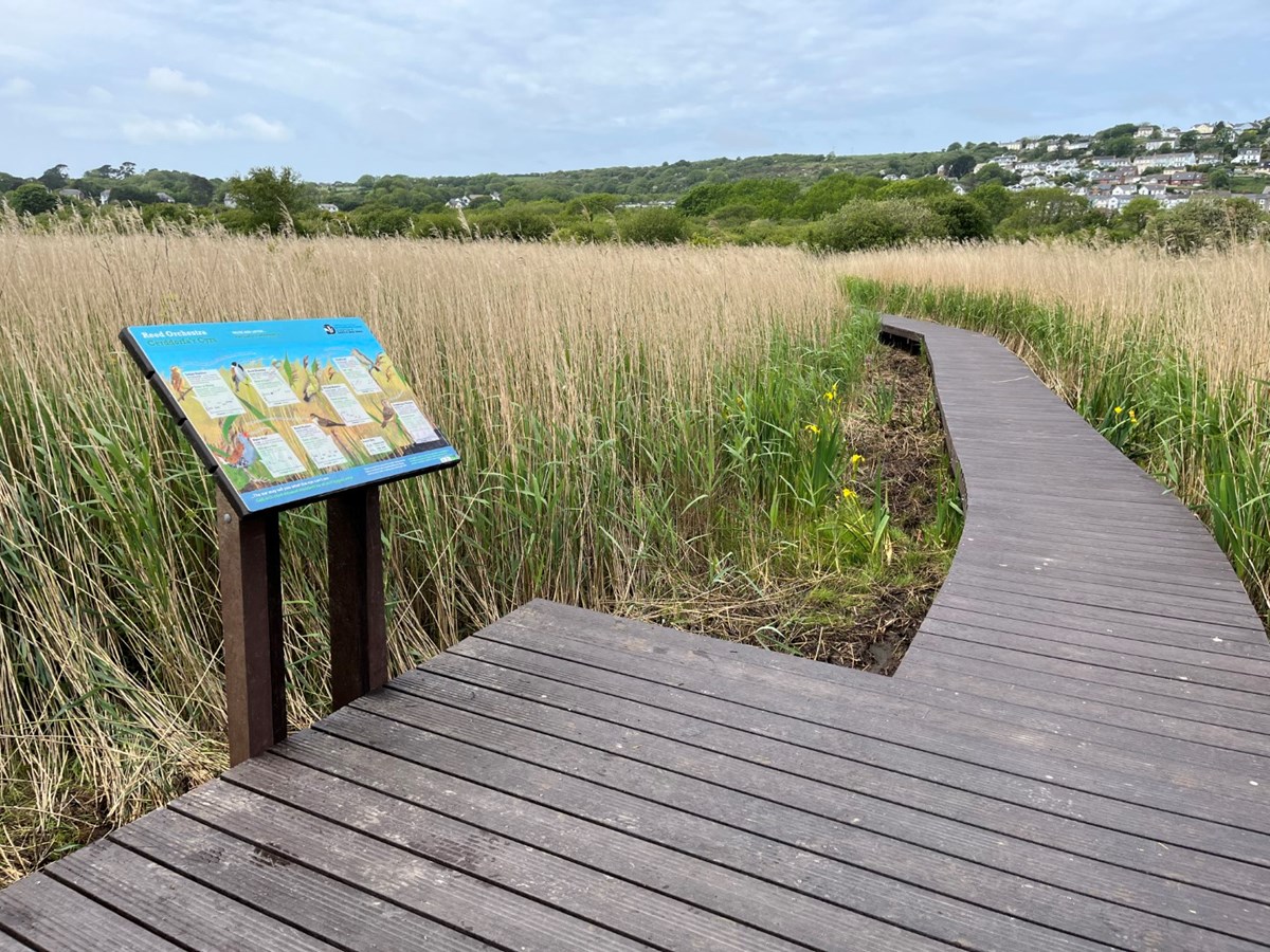 Goodwick moor nature reserve