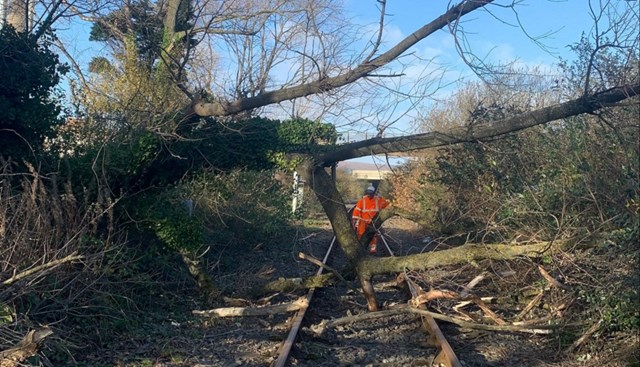 Rail companies urge customers to re-plan journeys as storms threaten major disruption: Tree on track