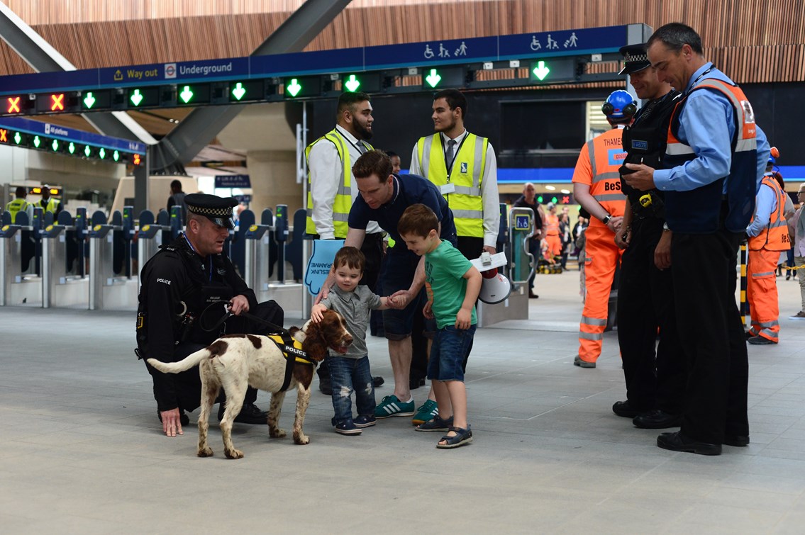 Police dog and children: Children stroke a police dog